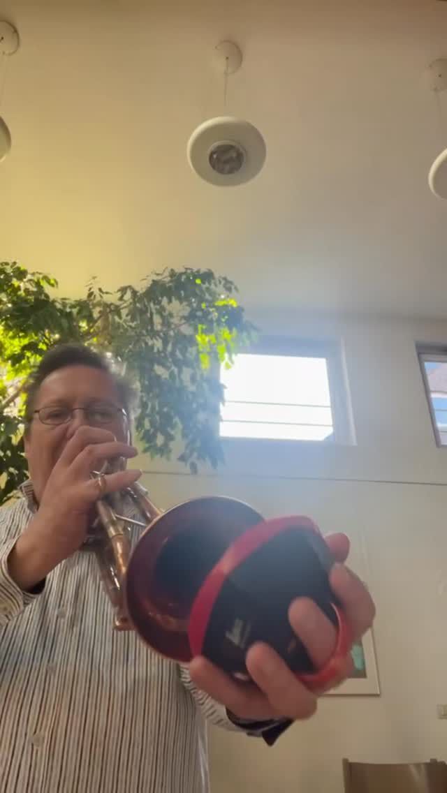 #une_mute #trompettiste #trompettelife #trompette #sourdine_de_trompette